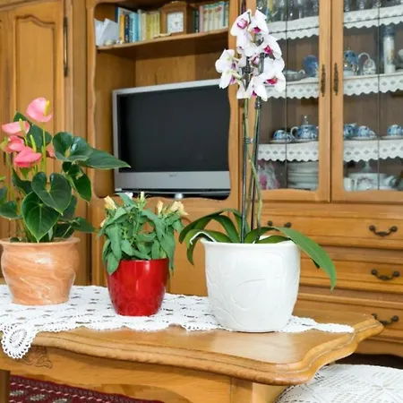 아파트 Zeljka Sumpetar